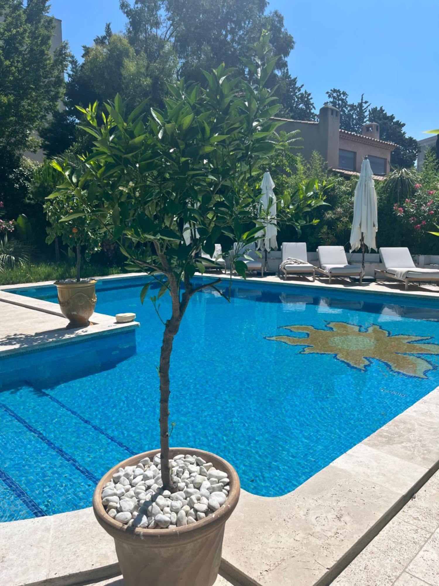 Le Mas Angelussi - Le Clos Du Soleil Salon-de-Provence Exterior foto