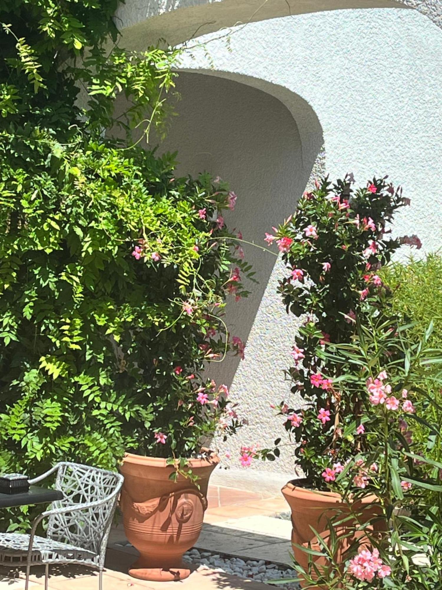 Le Mas Angelussi - Le Clos Du Soleil Salon-de-Provence Exterior foto